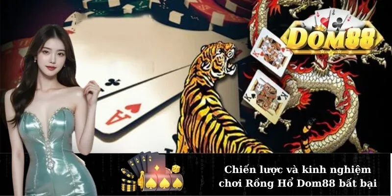 Chiến lược và kinh nghiệm chơi Rồng Hổ Dom88 bất bại